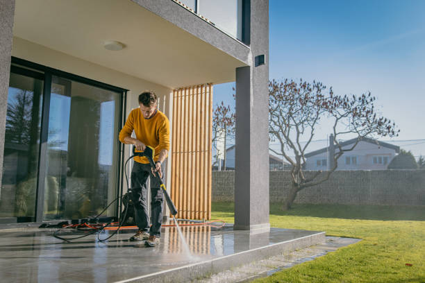 Best Gutter Cleaning  in Greenville, AL